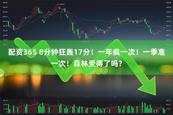 配资365 8分钟狂轰17分!一年疯一次!一季准一次!森林受得了吗?
