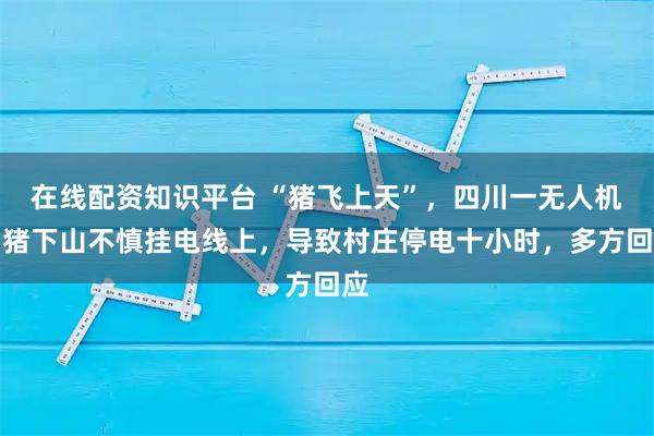 在线配资知识平台 “猪飞上天”，四川一无人机吊猪下山不慎挂电线上，导致村庄停电十小时，多方回应